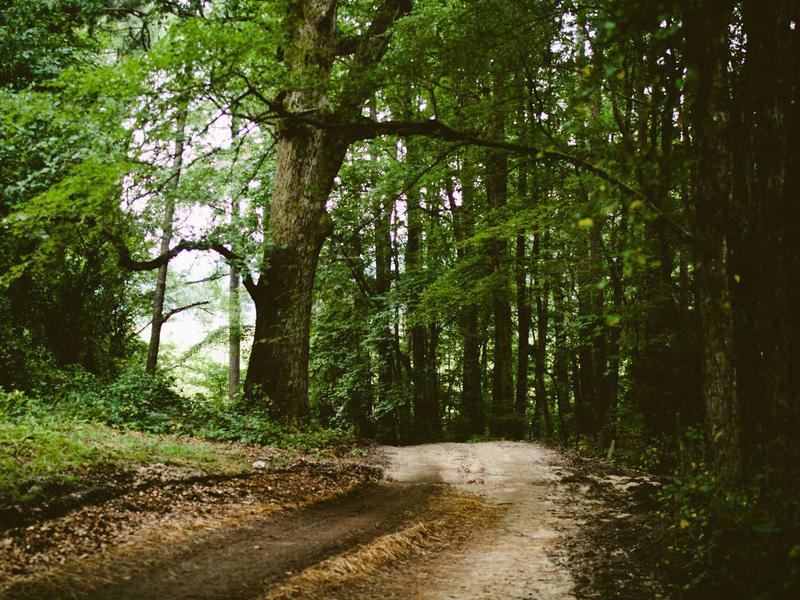 sudoku pattern recognition screenshot 3