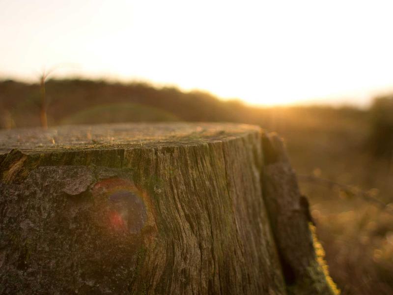 sudoku brain teaser screenshot 3